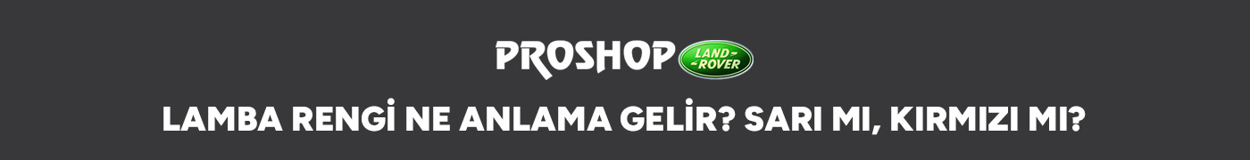 lamba-rengi-ne-anlama-gelir-sari-mi-kirmizi-mi-gorsel